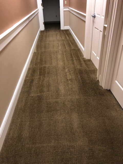 Steam Wave Carpet & Upholstery Care | 9602 Lakeland Loop, Quinlan, TX 75474, USA | Phone: (972) 469-4703