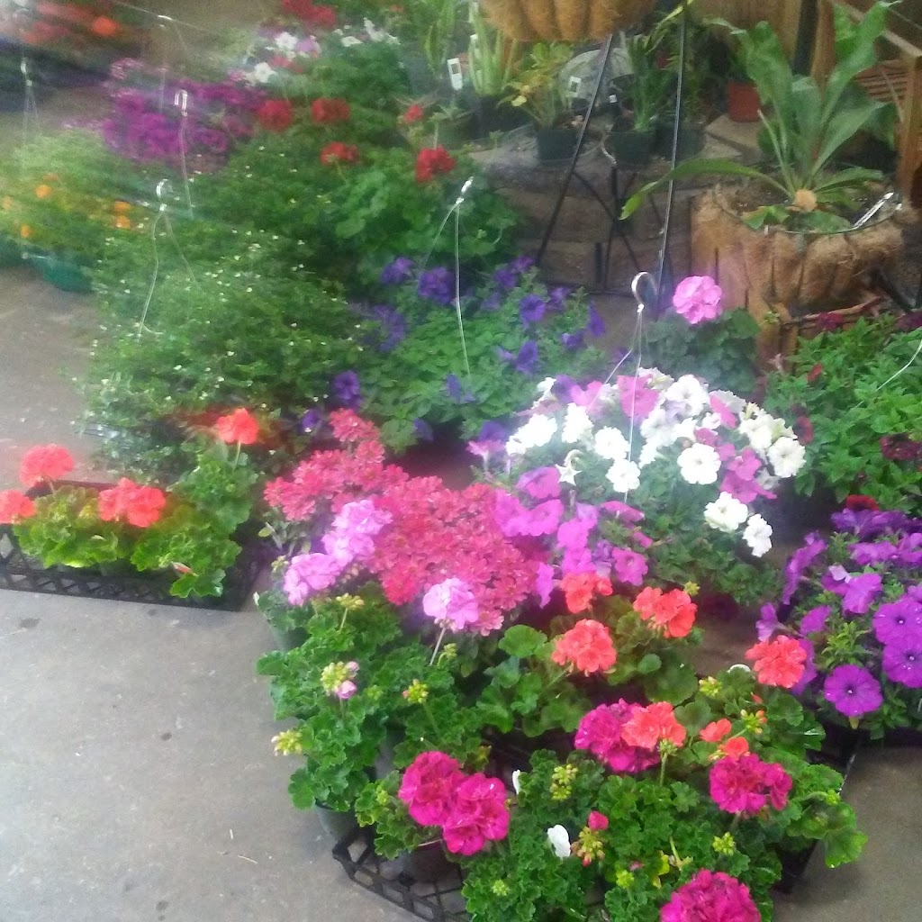 Rolling Hills Garden Center | 400 S Madison Blvd, Roxboro, NC 27573, USA | Phone: (336) 599-0385