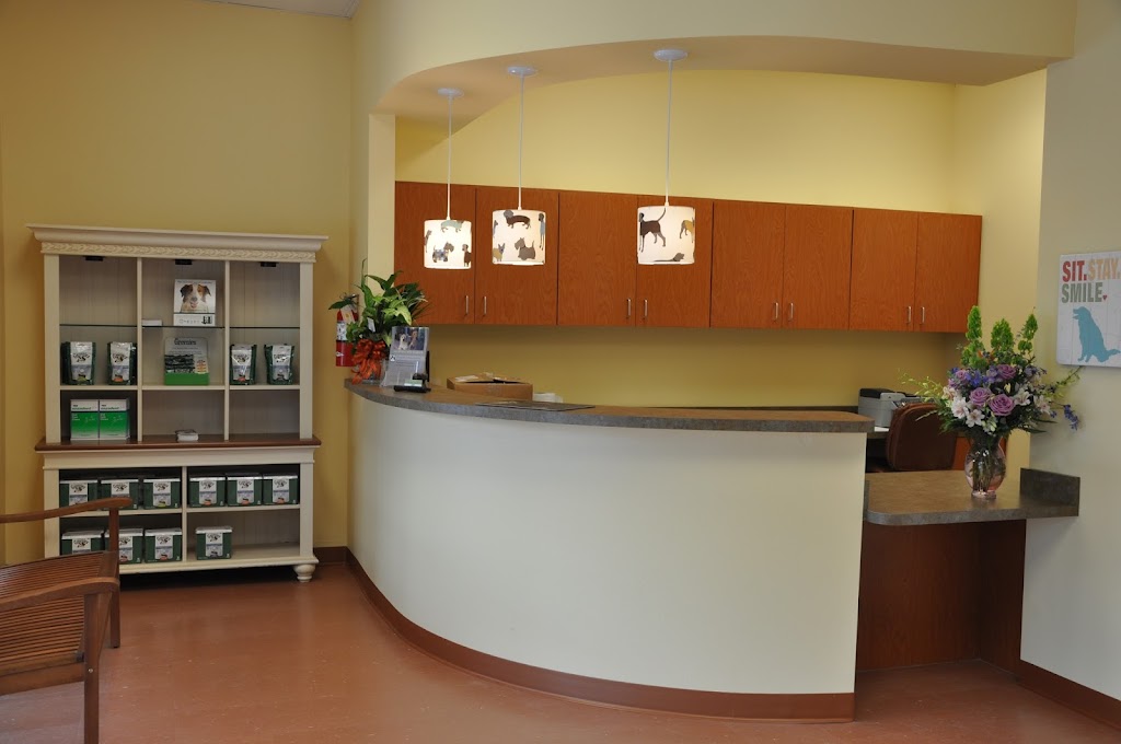 Southbay Animal Hospital | 13330 Lincoln Rd, Riverview, FL 33578, USA | Phone: (813) 671-7224