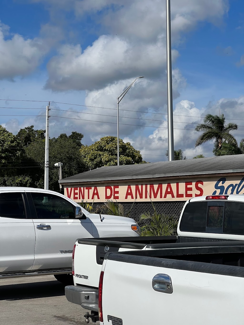 Venta de animales | 25775 Krome Ave, Homestead, FL 33030, USA | Phone: (786) 740-5462