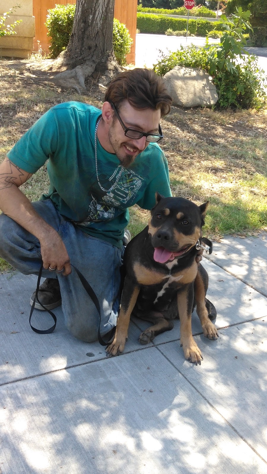 Davids Garage | 401 Zak Way, Madera, CA 93637, USA | Phone: (650) 474-9181