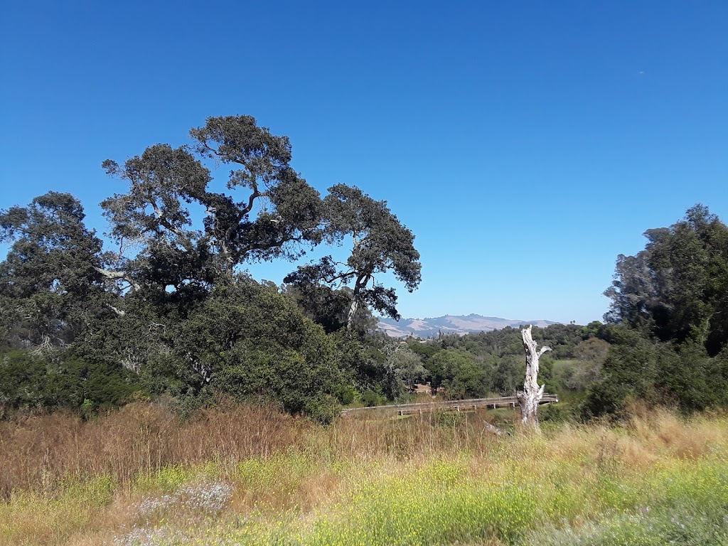 Pinto Lake County Park | 757 Green Valley Rd, Watsonville, CA 95076, USA | Phone: (831) 728-6194