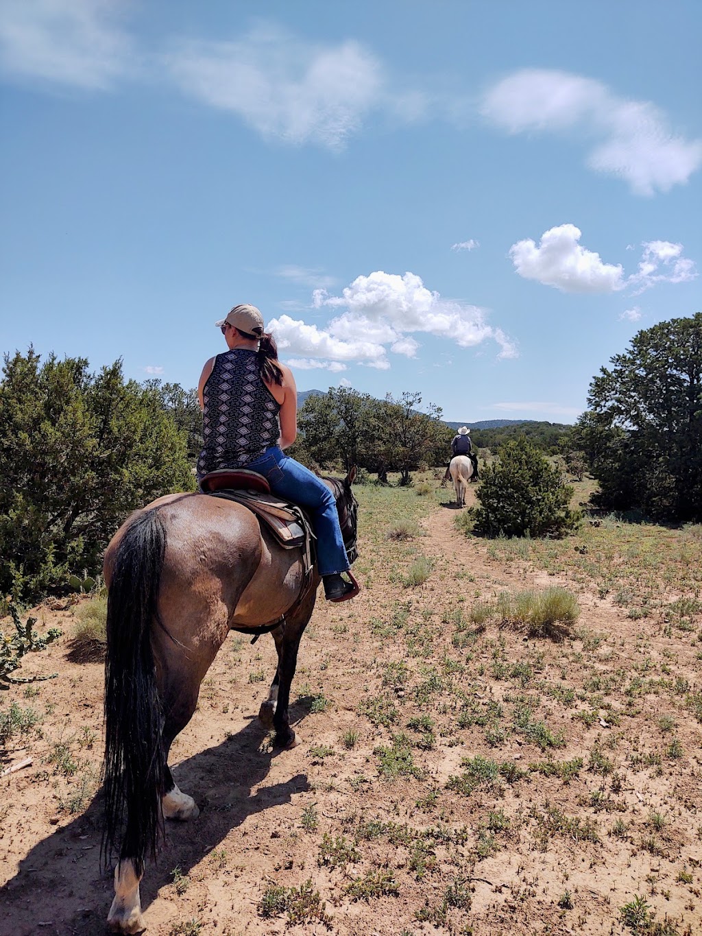 Turquoise Trail Pleasure Riding | 1511 NM-14, Golden, NM 87047 | Phone: (505) 280-1319