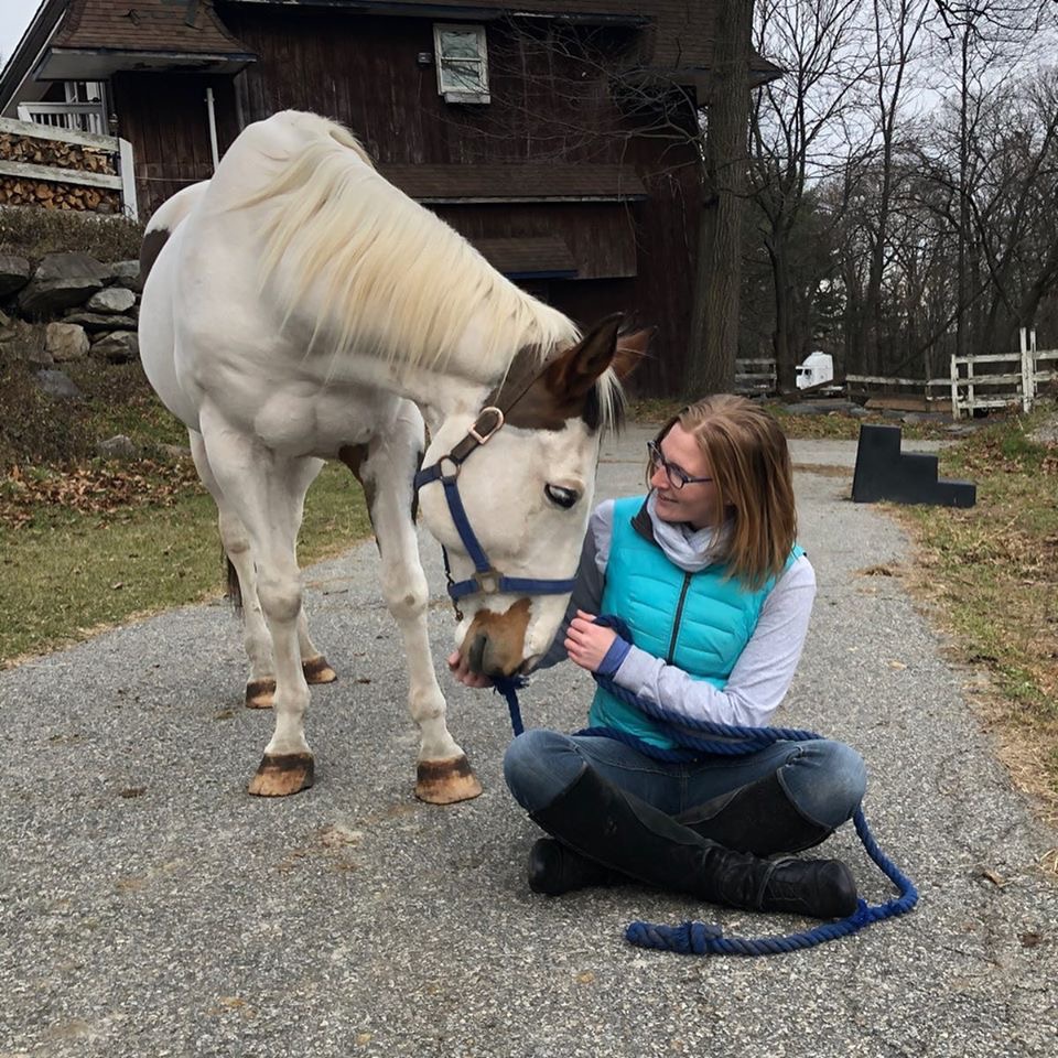 Heavenly Rose Equestrian, LLC. | 86 George Hill Rd, Branchville, NJ 07826, USA | Phone: (833) 474-3372