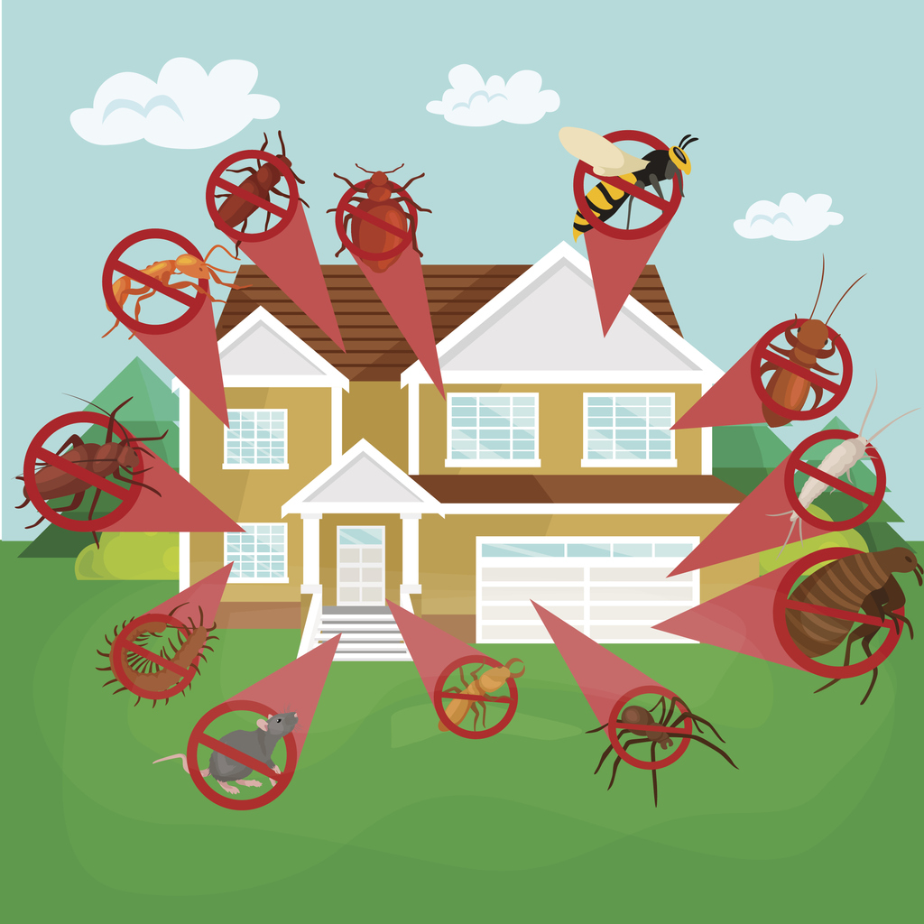 Burns Pest Elimination | 3050 S Country Club Dr #17, Mesa, AZ 85210, USA | Phone: (877) 971-4782