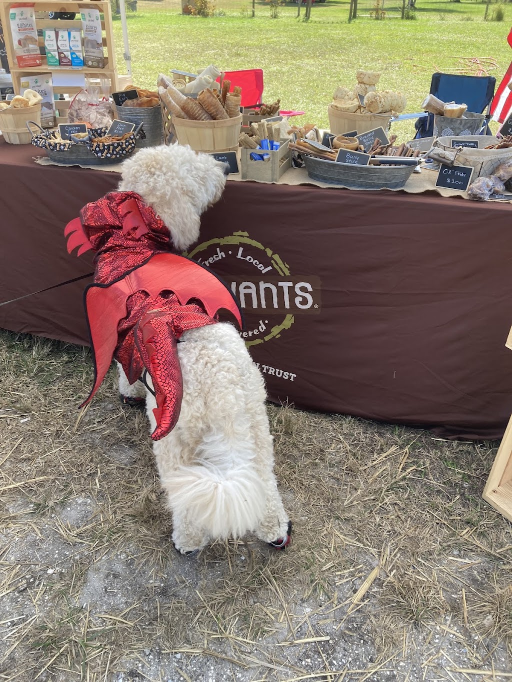 Pet Wants Bradenton | 5602 33rd Ln E, Bradenton, FL 34203, USA | Phone: (941) 920-9202