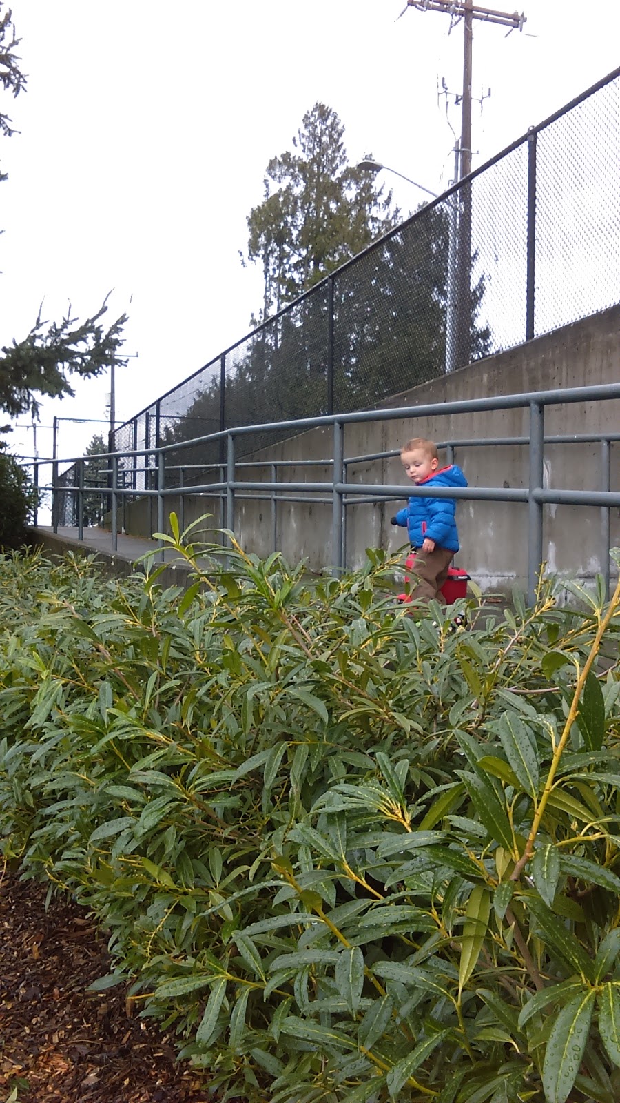 Hutchinson Playground | 59th Ave S & S Norfolk St, 5801 S Pilgrim St, Seattle, WA 98118, USA | Phone: (206) 684-4075