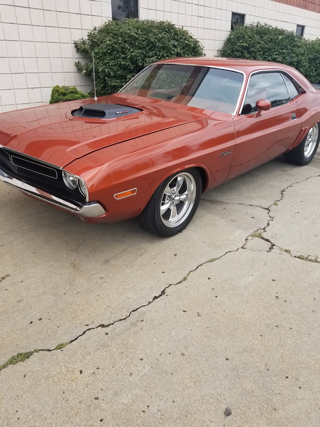 Mitten Automotive | 12331 Stark Rd, Livonia, MI 48150, USA | Phone: (734) 855-4244