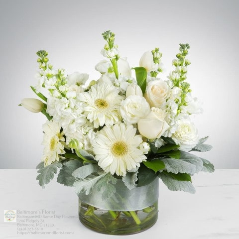 Baltimores Florist | 1206 Ridgely St, Baltimore, MD 21230, USA | Phone: (410) 727-6610