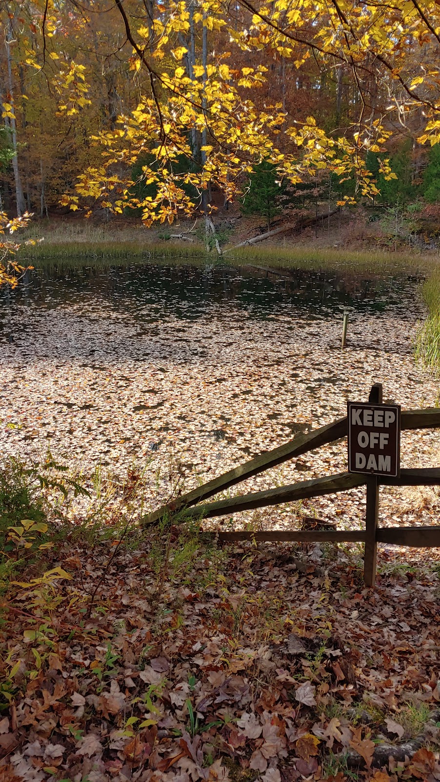 Carter’s Pond | 18100 Park Headquarters Rd, Triangle, VA 22172, USA | Phone: (703) 221-7181