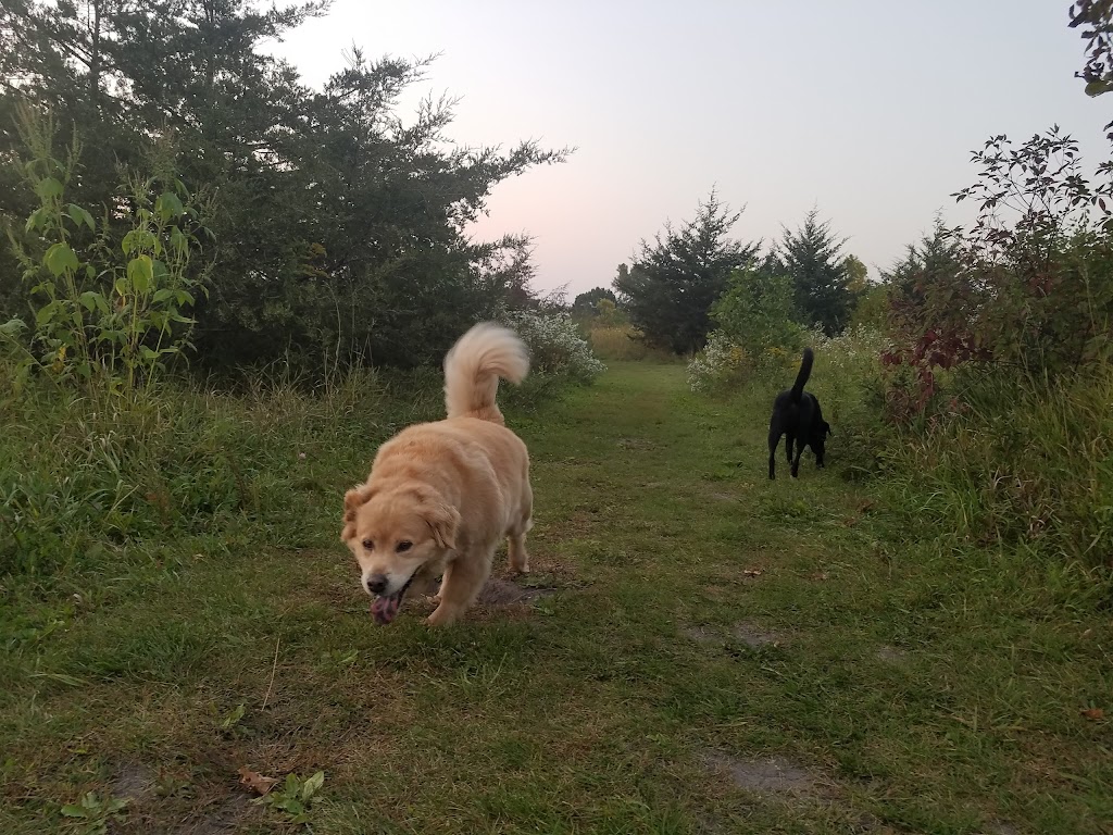 Lake Sarah Dog Park | 6670 W Lake Sarah Dr, Rockford, MN 55373, USA | Phone: (763) 694-7860