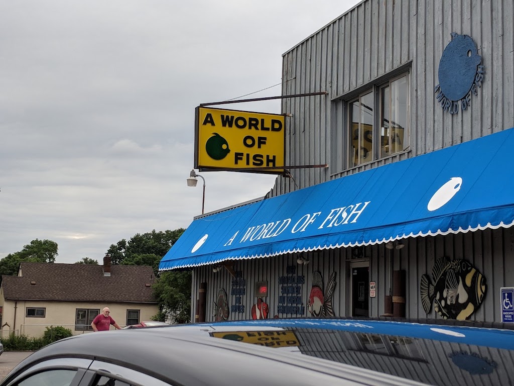 A World of Fish | 1516 E 66th St, Richfield, MN 55423, USA | Phone: (612) 866-2026