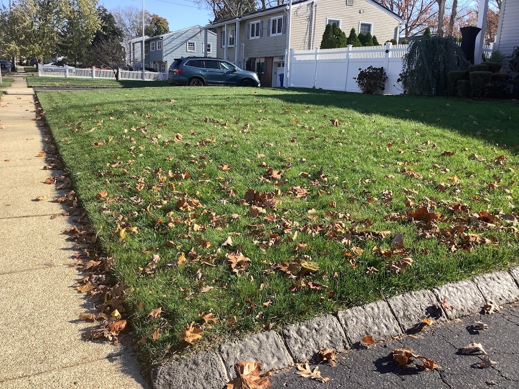 Lawn Buddies | 200 Daniels Way, Freehold, NJ 07728, USA | Phone: (732) 475-5500