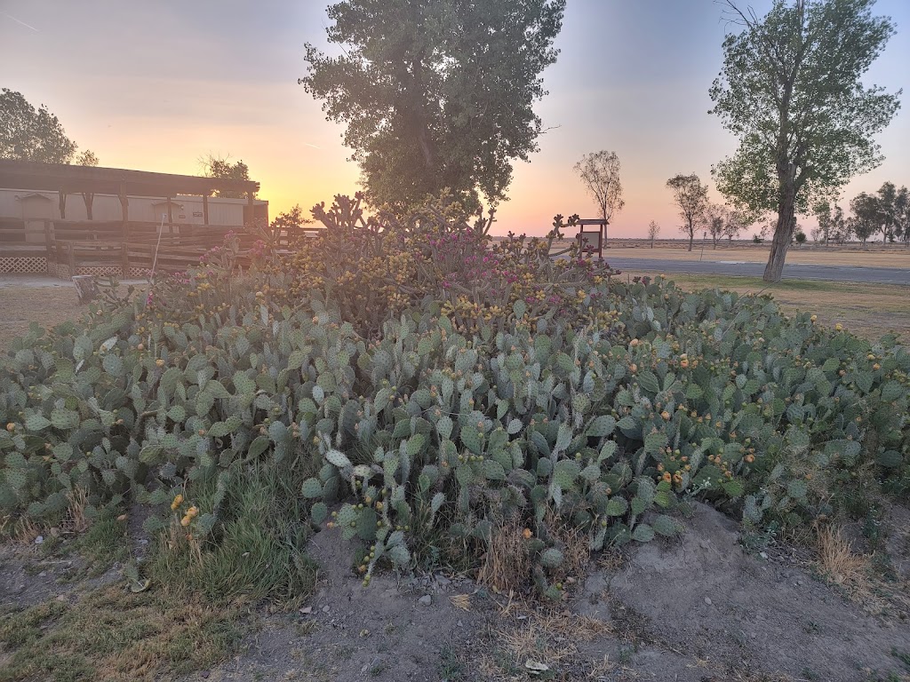 Colonel Allensworth State Park Campground | Palmer Ave, Earlimart, CA 93219, USA | Phone: (661) 849-3433