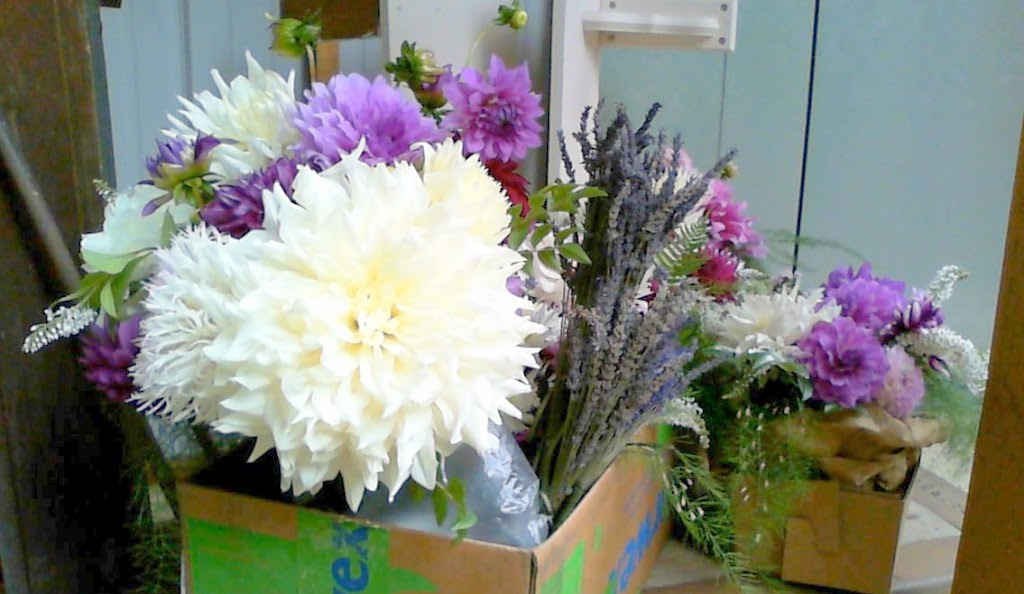 Butlers Farm | 3414 137th St NW, Gig Harbor, WA 98332, USA | Phone: (253) 241-9594