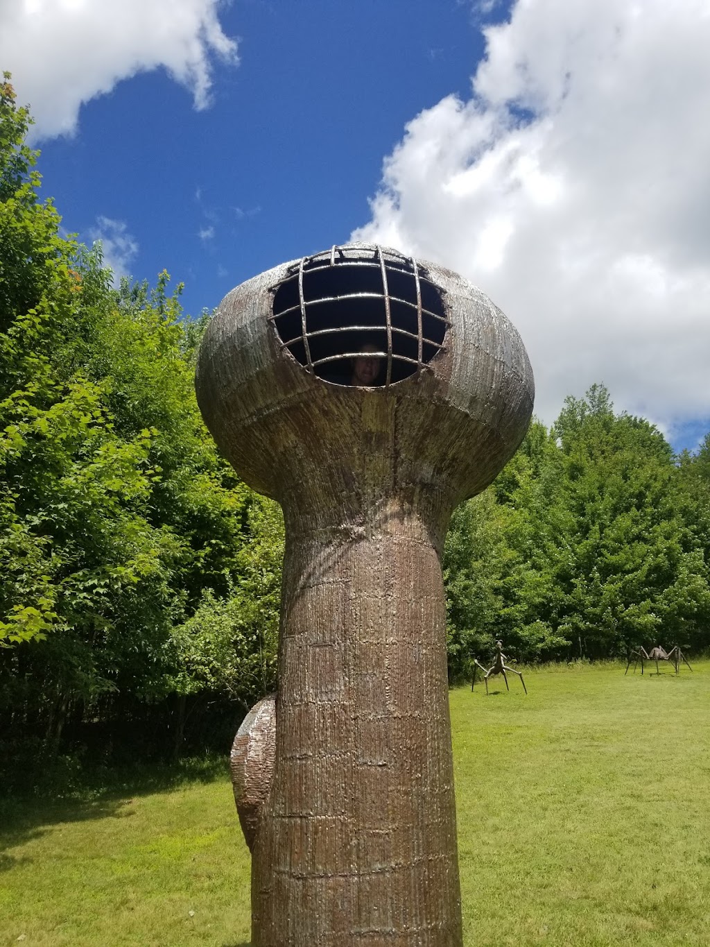 Griffis Sculpture Park | 6902 Mill Valley Rd, East Otto, NY 14729, USA | Phone: (716) 667-2808