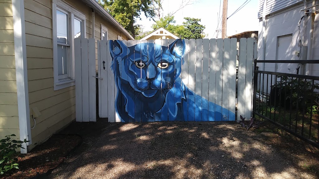 Sly Cat Gallery | 206 S Broad St, Cedar Hill, TX 75104, USA | Phone: (469) 447-5521