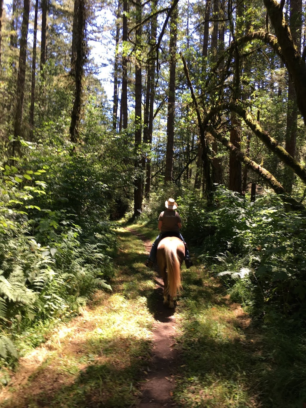 FIVE BROOKS HORSE CAMP | 26W5+3J, Bolinas, CA 94924, USA | Phone: (415) 663-1570