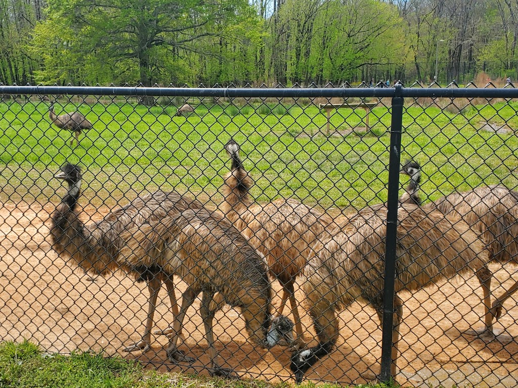 Noahs Ark Animal Sanctuary | 712 L G Griffin Rd, Locust Grove, GA 30248, USA | Phone: (770) 957-0888