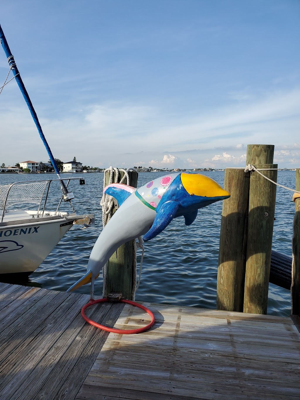 Dolphin Landings Charter Boat Center | 4737 Gulf Blvd, St Pete Beach, FL 33706, USA | Phone: (727) 360-7411