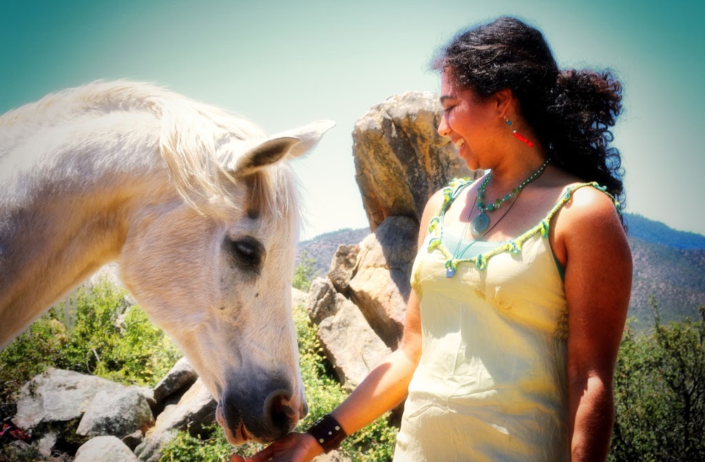 Silver Horse Retreat | 28091 Old Mine Rd, Ranchita, CA 92066, USA | Phone: (760) 445-3580