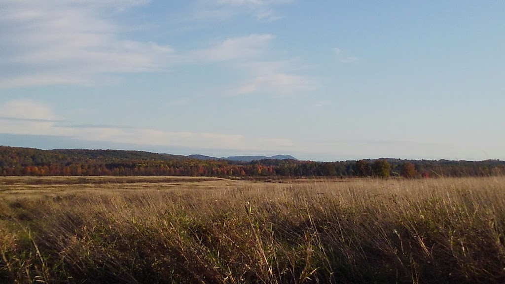 Washington County Grasslands | 390 Black House Rd, Fort Edward, NY 12828, USA | Phone: (518) 897-1291