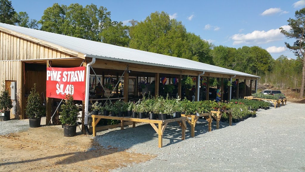 Evergreen Nursery | 27 Frank Cash Rd, Timberlake, NC 27583, USA | Phone: (336) 350-5750