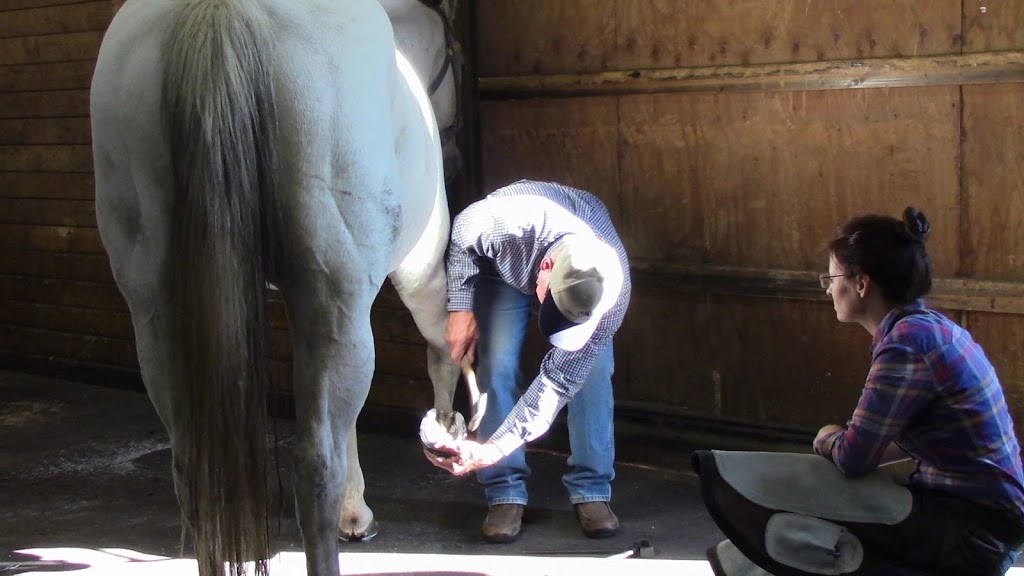 Mission Farrier School | 17028 Trombley Rd, Snohomish, WA 98290 | Phone: (425) 890-3043