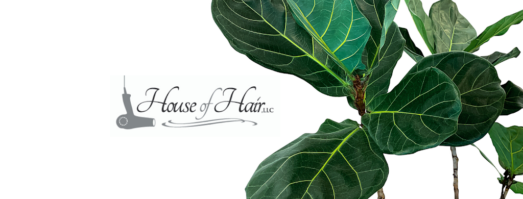 House of Hair, LLC | 167 Center St, North Easton, MA 02356, USA | Phone: (617) 650-7470