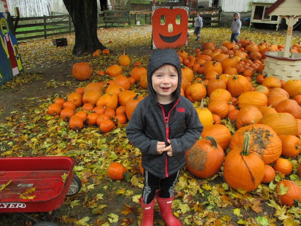 Farmview Montessori Garden | 3501 Tylersville Rd, Hamilton, OH 45011, USA | Phone: (513) 737-0479