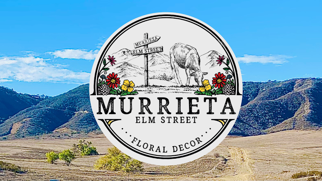 Murrierta Elm Street | 23816 Vía Segovia, Murrieta, CA 92562, USA | Phone: (951) 440-1488