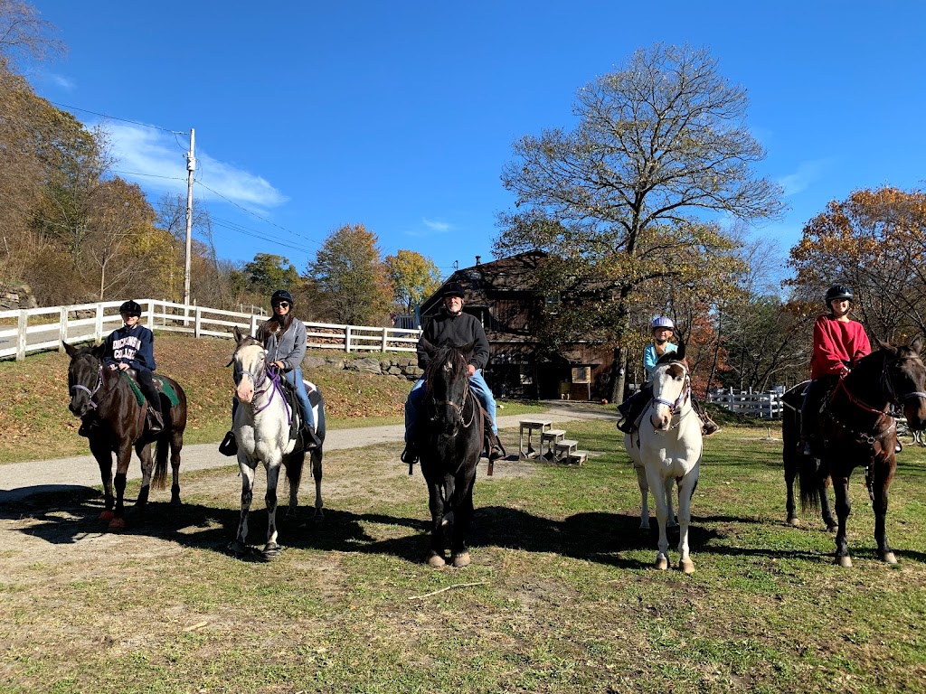 Heavenly Rose Equestrian, LLC. | 86 George Hill Rd, Branchville, NJ 07826, USA | Phone: (833) 474-3372