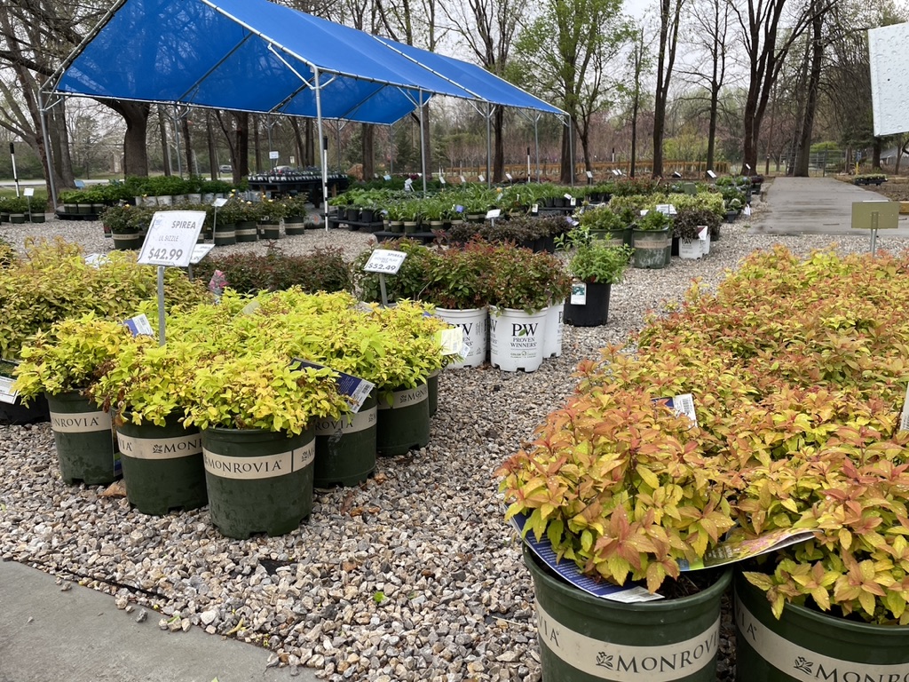 Prairie Hills Nursery and Plant Shop | 2999 E 30th Ave, Hutchinson, KS 67502, USA | Phone: (620) 500-5073