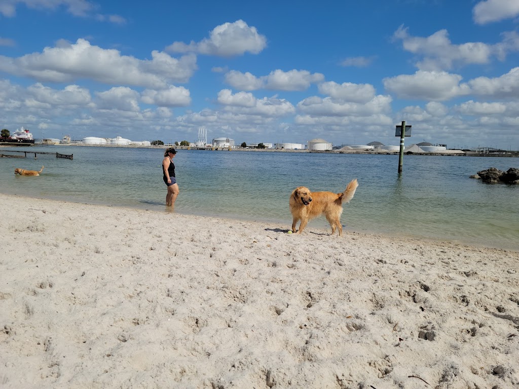 Davis Island Dog Beach | Davis Island Dog Beach, 864 Severn Ave, Tampa, FL 33606, USA | Phone: (813) 274-8615