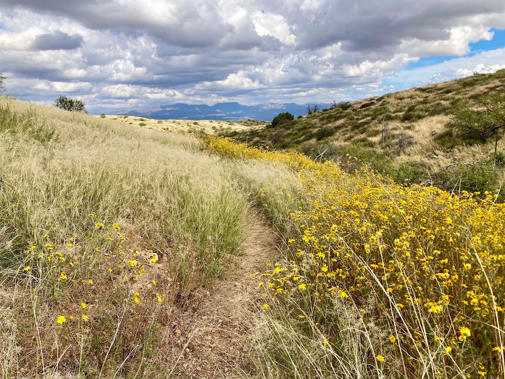 Oracle State Park | 3820 E Wildlife Dr, Oracle, AZ 85623, USA | Phone: (520) 896-2425