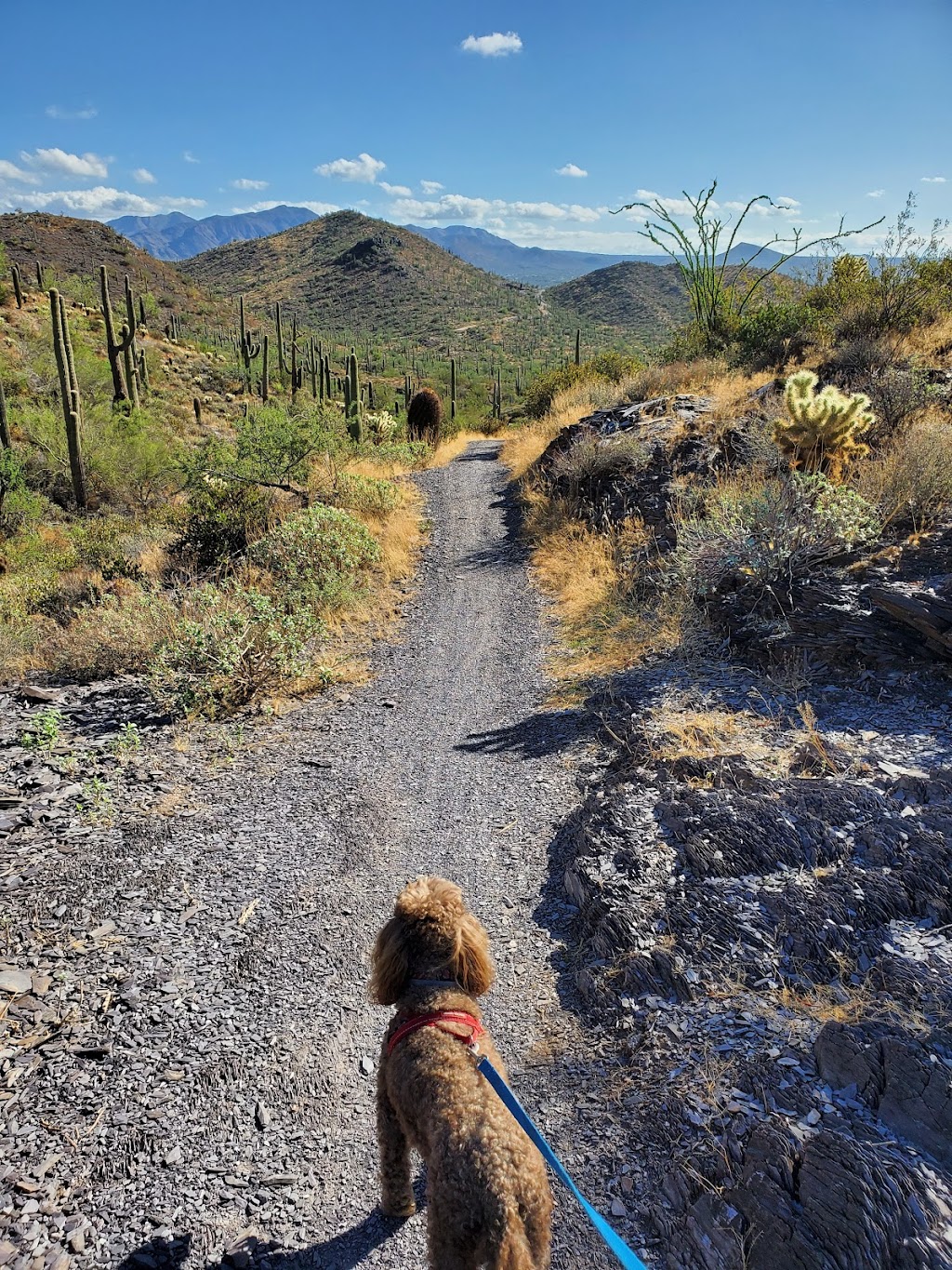 Go John Trail Trailhead Parking | Go John Trail, Cave Creek, AZ 85331, USA | Phone: (623) 465-0431