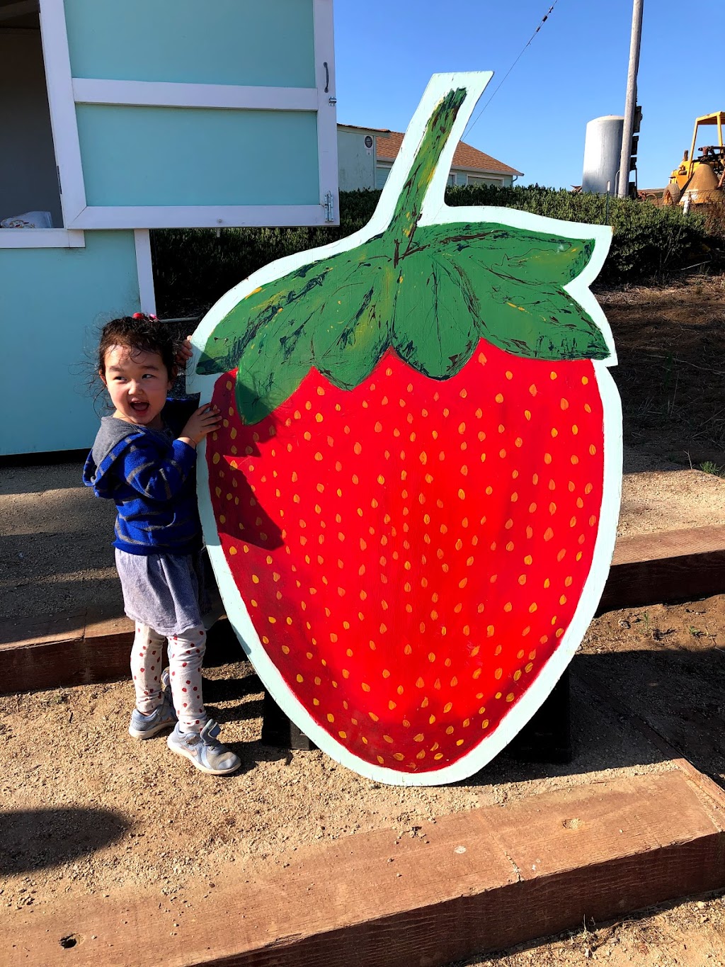 Monterey Bay Farms Organic Strawberry Stand | 596 San Andreas Rd, Watsonville, CA 95076 | Phone: (831) 713-7230