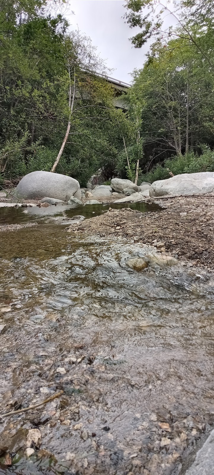 Rancho Vasquez Inc | 1703 Ranch Rd, Azusa, CA 91702, USA | Phone: (626) 334-4340