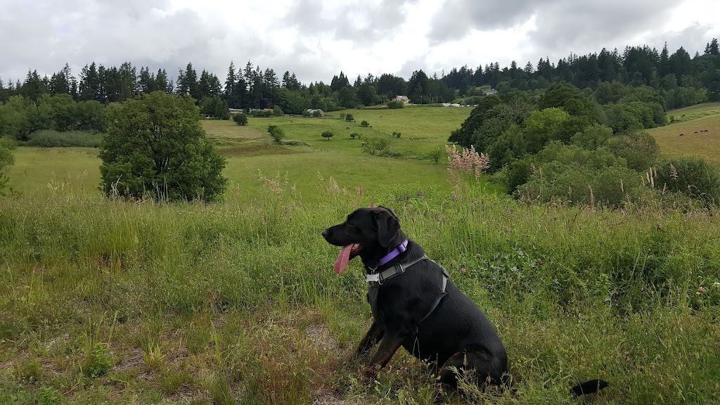 Bannister Creek Greenway | Northwest Laidlaw Road &, NW Bannister Dr, Portland, OR 97229, USA | Phone: (503) 629-6360