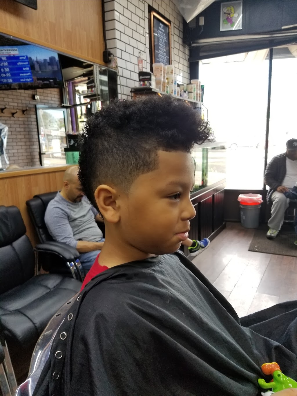Groomurrs | 7839 Springfield Blvd, Queens, NY 11364, USA | Phone: (718) 468-2264