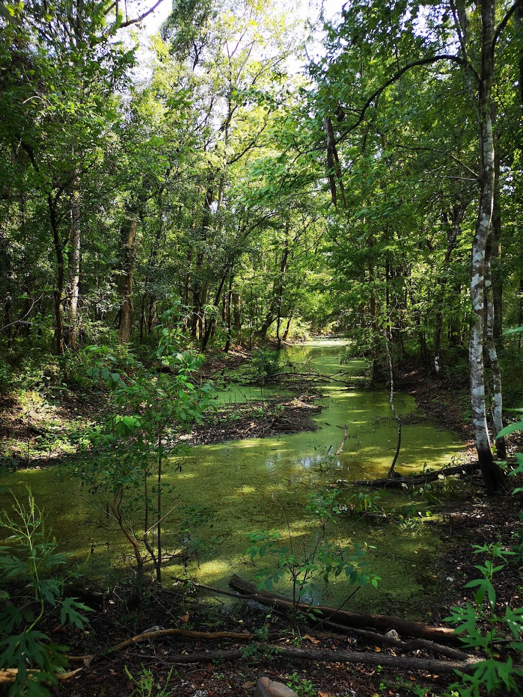 Indian Bayou Trail | Par Rd 3-95, Krotz Springs, LA 70750, USA | Phone: (337) 585-0853