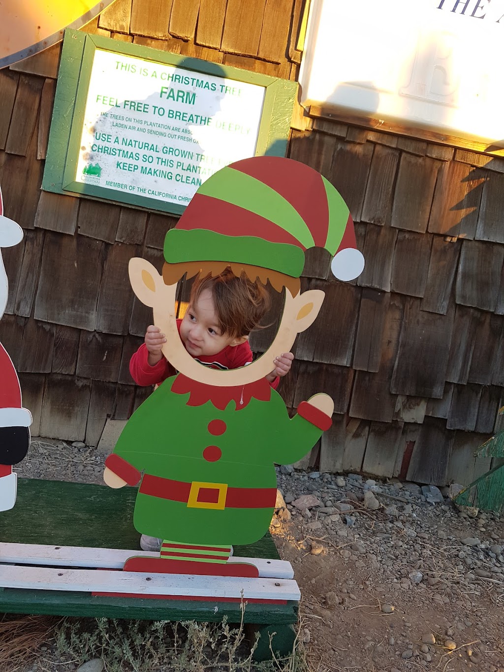 Pine Country The Martin Family | Gustine, CA 95322, USA | Phone: (209) 854-3636