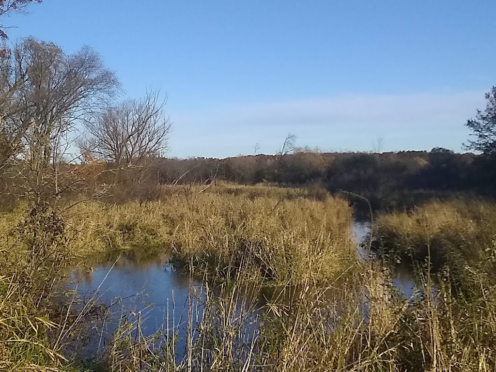 Mud Lake State Public Hunting Grounds | Rio, WI 53960, USA | Phone: (608) 267-2764