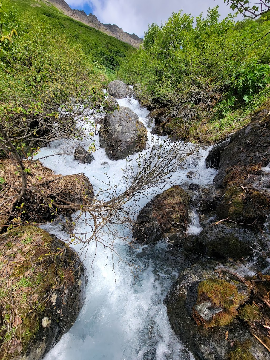 Falls Creek Trail | Seward Hwy, Anchorage, AK 99540, USA | Phone: (907) 345-5014