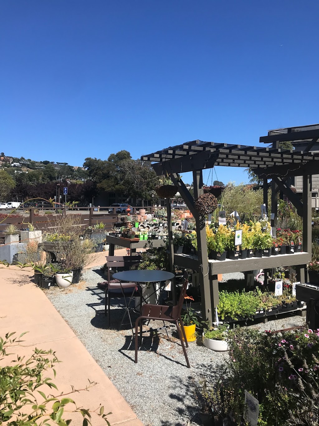 Ground | 1520 Tiburon Blvd, Belvedere Tiburon, CA 94920, USA | Phone: (415) 797-6057