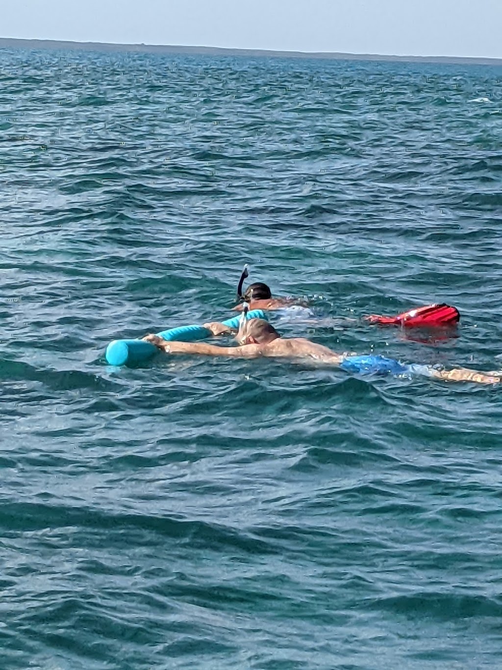 Let It Ride Charters | 104080 Overseas Hwy, Key Largo, FL 33037, USA | Phone: (305) 432-6570