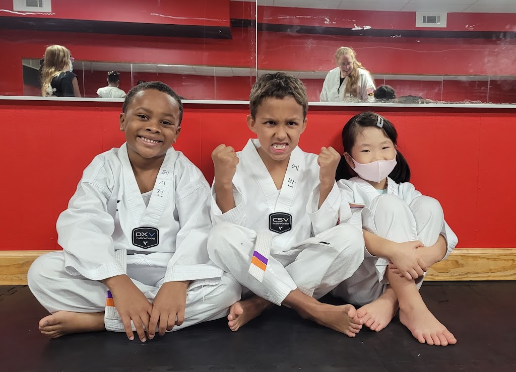 Parks Taekwondo Academy | 614 E Little Creek Rd A, Norfolk, VA 23505, USA | Phone: (757) 588-0000