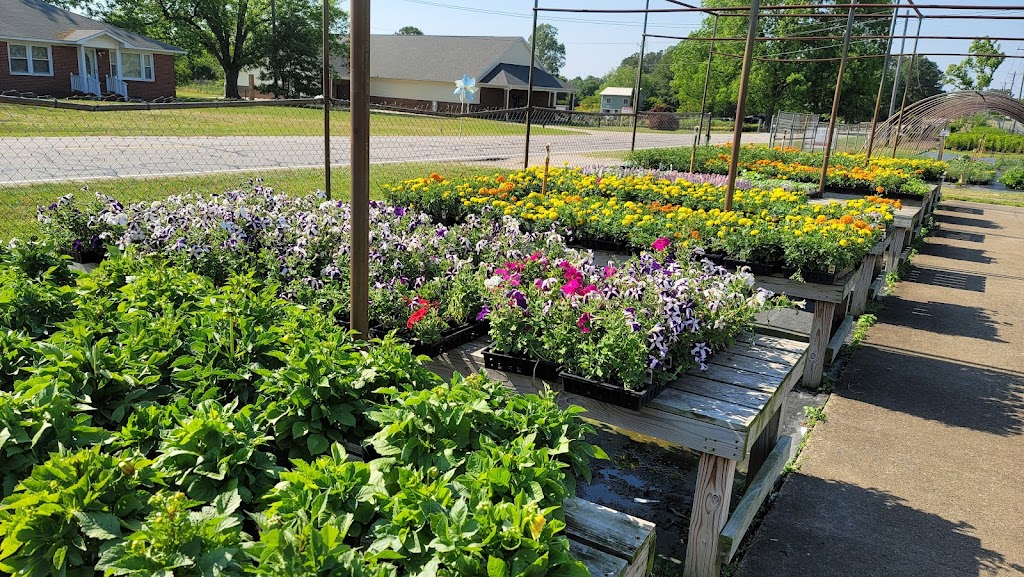 Tarheel Nursery | 7160 Old Stage Rd N, Angier, NC 27501, USA | Phone: (919) 639-4598