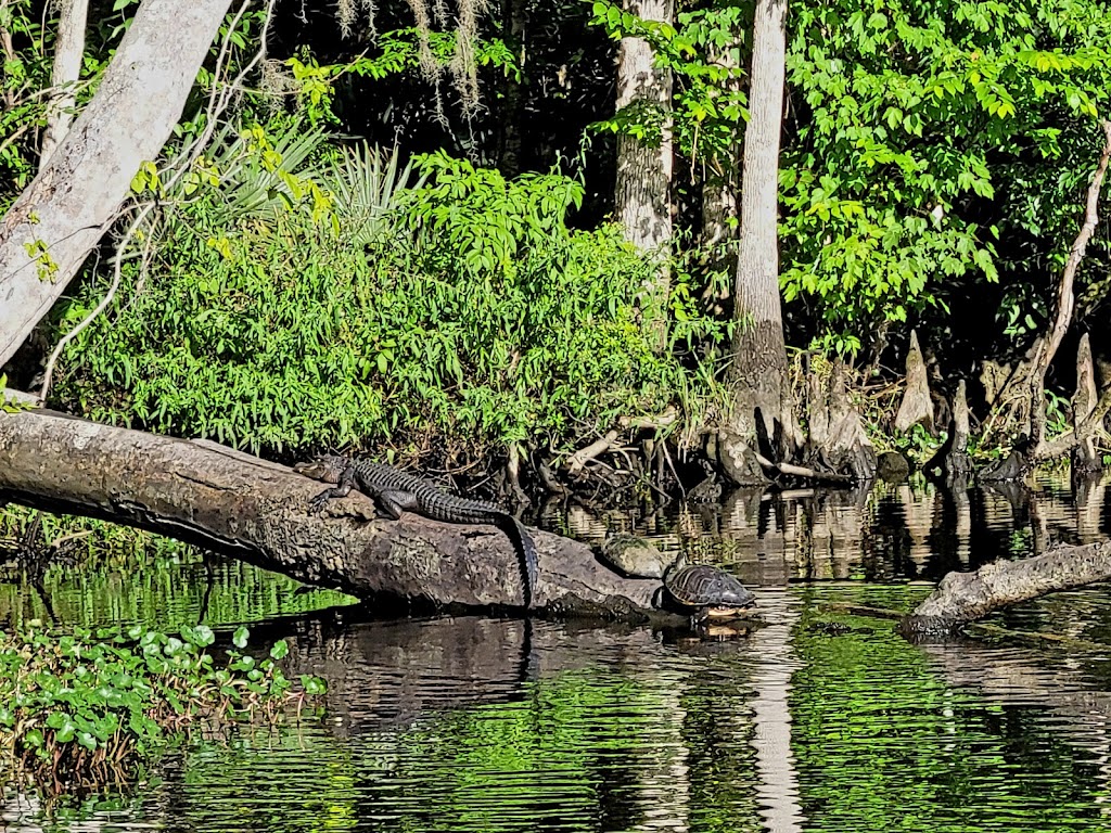 Sea Serpent Tours | 6550 FL-13 N, St. Augustine, FL 32092, USA | Phone: (904) 495-4200