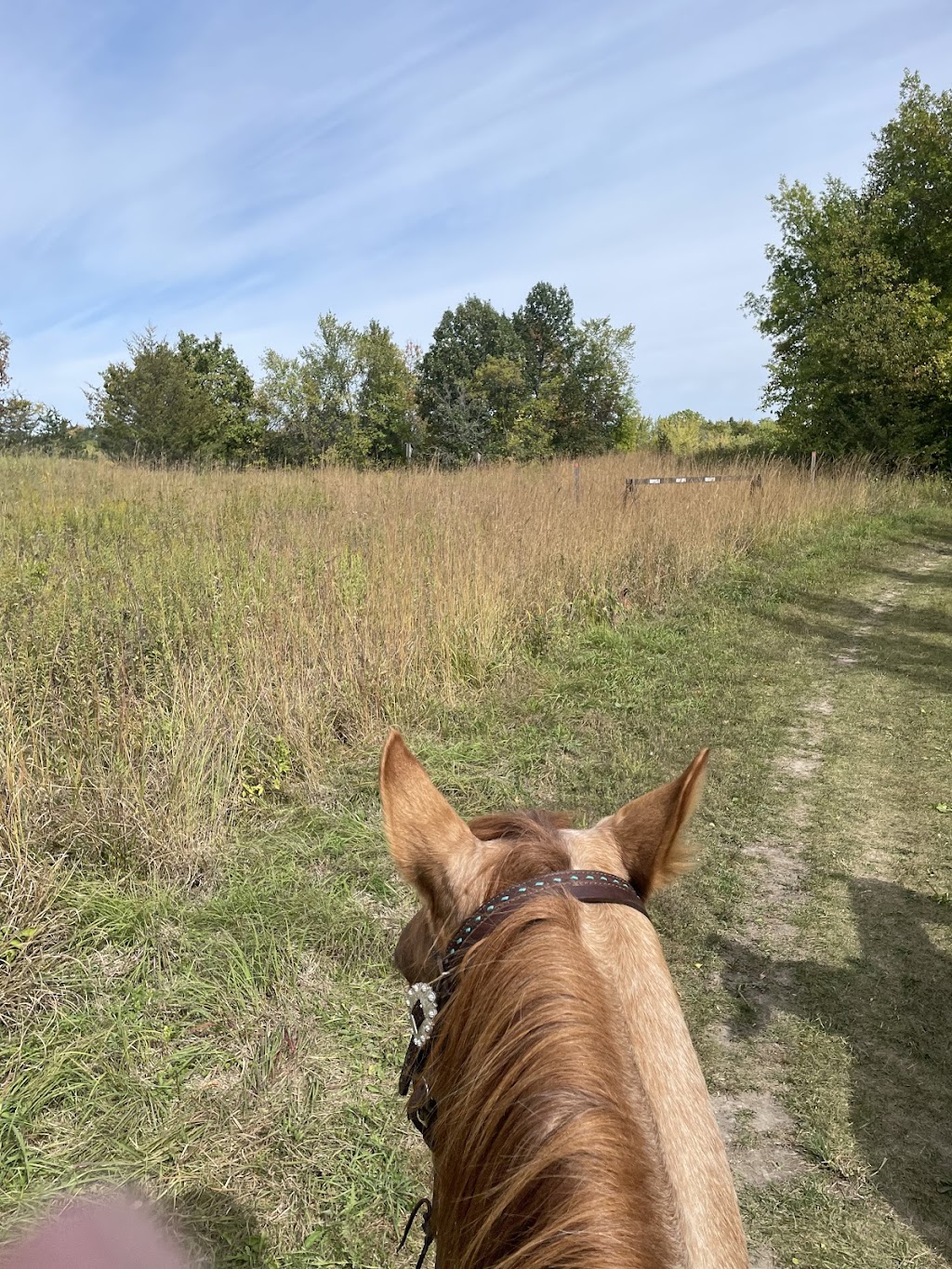 Rebecca Park Horse Lot | 8495-8933 Rebecca Park Trail, Rockford, MN 55373, USA | Phone: (763) 559-9000